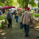 Markt im Sommer