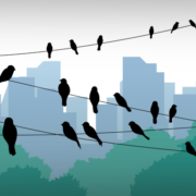 Grafik, die Vögel auf Leitungen sitzend vor einer Skyline zeigt (Copyright: Freepik)