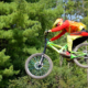 Downhill-Biker (Copyright: Robert Jones via Pixabay)